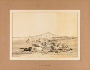 Vahşi Atlar Oyun Başında--no. 3 by George Catlin