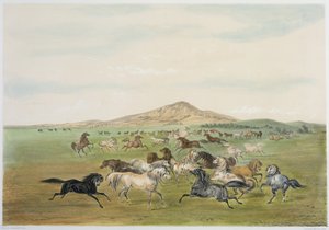  by George Catlin