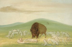  by George Catlin