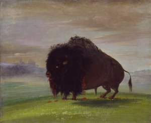  by George Catlin