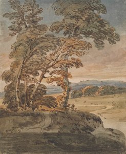 Yamaç Yolundaki Ağaçlar by George Chinnery
