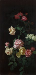 güller by George Cochran Lambdin