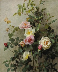 Duvardaki Güller, 1877