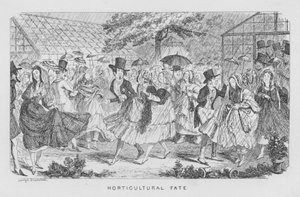 Bahçıvanlık Kaderi, yani bir şenlikte yağmur by George Cruikshank