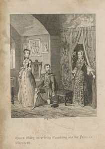 Kraliçe Mary, Courtenay ve Prenses Elizabeth