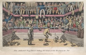 Sıçanlar öldürülüyor, 'Londra'da Yaşam, vb.', Pierce Egan by George Cruikshank