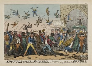 Raketle ve Uskumru veya Mısır Yasa Tasarısına Oy Verecek Üyeler, 14 Mart by George Cruikshank