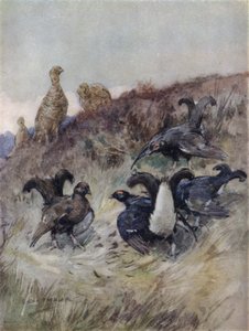 Bir Kızıl Geyiğin Öyküsü için İllüstrasyon (renkli taş) by George Denholm Armour