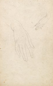 Ellerin İncelenmesi