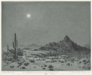 arizona gecesi by George Elbert Burr