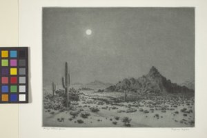 Arizona Gecesi by George Elbert Burr