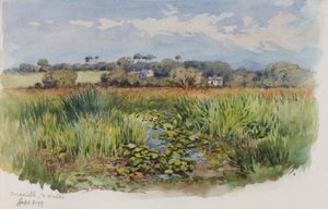 Criccieth, Kuzey Galler, 1899.
