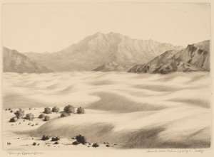 Palm Springs, California yakınlarındaki kum tepeleri (no.2)