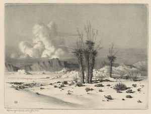 Akşam, Arizona