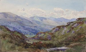 Yukarıdan Pont-y-Pant, 1899. by George Elbert Burr
