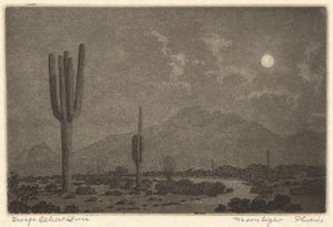 Mehtap-Phoenix by George Elbert Burr
