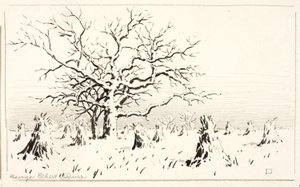  by George Elbert Burr