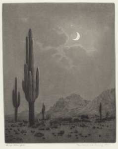 Yeni Ay ve Akşam Yıldızı by George Elbert Burr