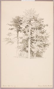  by George Elbert Burr