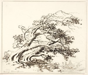  by George Elbert Burr