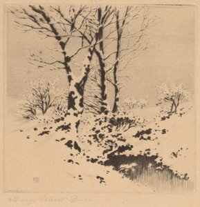 Kar by George Elbert Burr