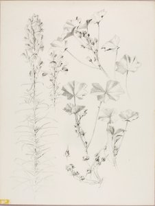  by George Elbert Burr