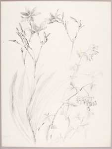  by George Elbert Burr