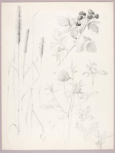  by George Elbert Burr