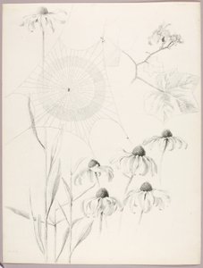  by George Elbert Burr