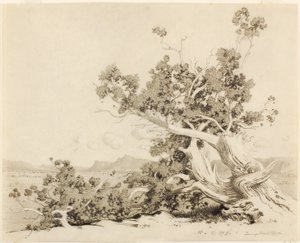  by George Elbert Burr