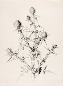  by George Elbert Burr