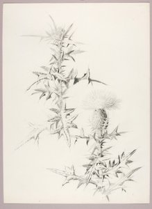  by George Elbert Burr