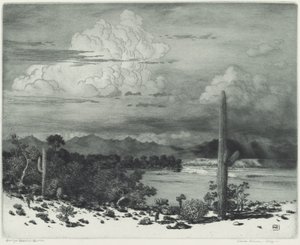 Verde Nehri, Arizona by George Elbert Burr