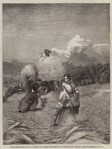 Arpa Tarlası