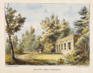 Aviary, Kew Gardens, Kew Gardens'dan levha 10: Charles Hullmandel (1789-1850) tarafından oyulmuş Taş Üzerine Yirmi Dört Çizim Serisi, 1820'de yayınlandı (el boyaması taş)