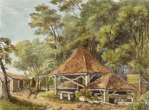 Su İşleri, Kew Bahçeleri, Kew Bahçeleri