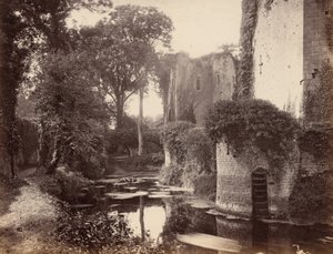  by George Esq. Shadbolt
