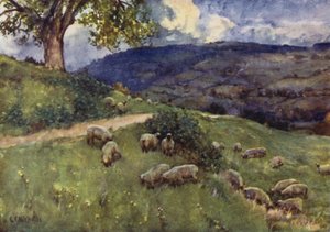 Cotswold Koyun Merası by George Franck Nicholls