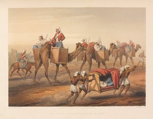 ?Delhi