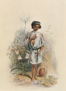 Charley, Natal