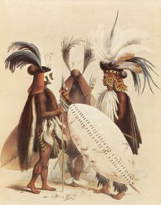 Zulu ordusu by George French Angas