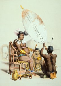 Göklerin Kralı Panda by George French Angas