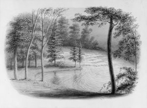 Hosack Albümünden Bir Brook, . by George Harvey