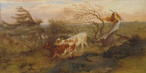 Vahşi Rüzgar, 1862