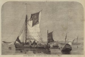 İngiliz Balıkçılık, No 7, Whelks için paça by George Henry Andrews