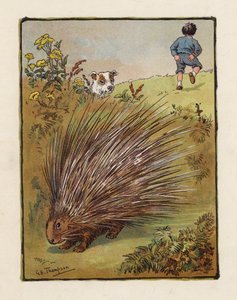 Kirpi (renkli litho)