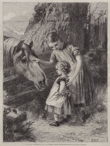 Güven İstemek