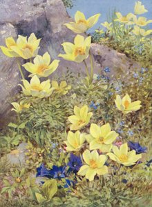  by George Jackson Flemwell