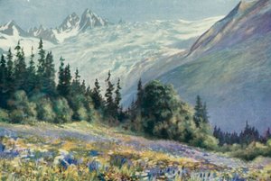 Col Des Montets üzerinde Campanula ve Diğer Temmuz Çiçekleri (renkli lito)