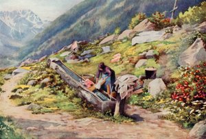 Chamonix Vadisi